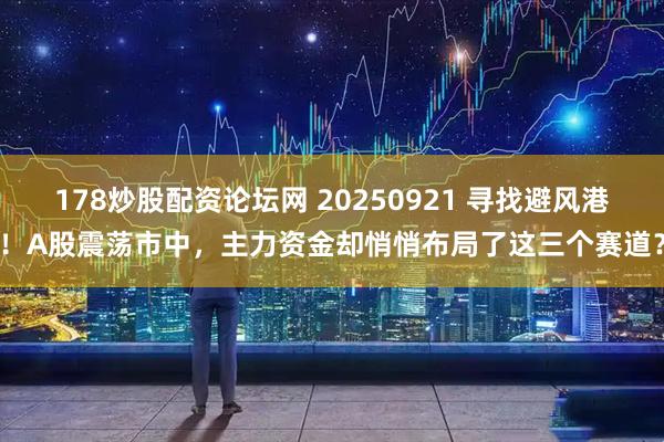 178炒股配资论坛网 20250921 寻找避风港！A股震荡市中，主力资金却悄悄布局了这三个赛道？