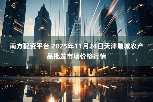南方配资平台 2025年11月24日天津碧城农产品批发市场价格行情