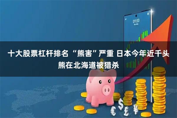 十大股票杠杆排名 “熊害”严重 日本今年近千头熊在北海道被猎杀
