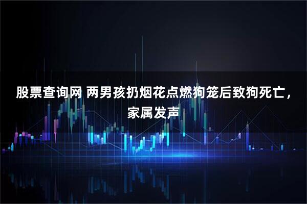 股票查询网 两男孩扔烟花点燃狗笼后致狗死亡，家属发声