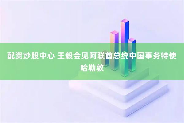 配资炒股中心 王毅会见阿联酋总统中国事务特使哈勒敦