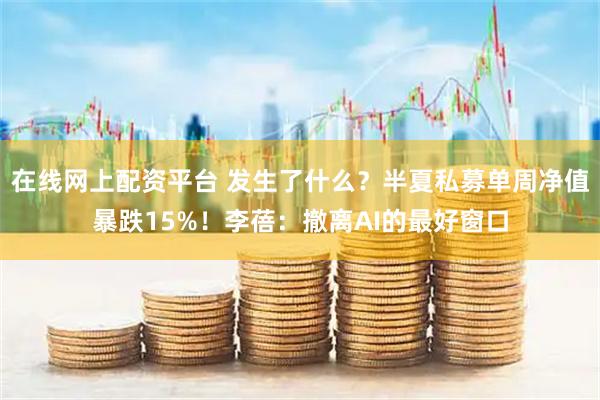 在线网上配资平台 发生了什么？半夏私募单周净值暴跌15%！李蓓：撤离AI的最好窗口