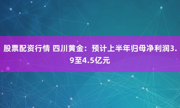 股票配资行情 四川黄金：预计上半年归母净利润3.9至4.5亿元